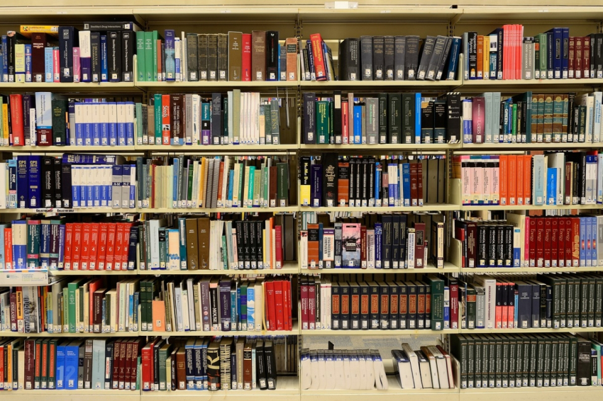 Россиянам предложили назвать 3 книги из школьной программы по описанию главного героя?