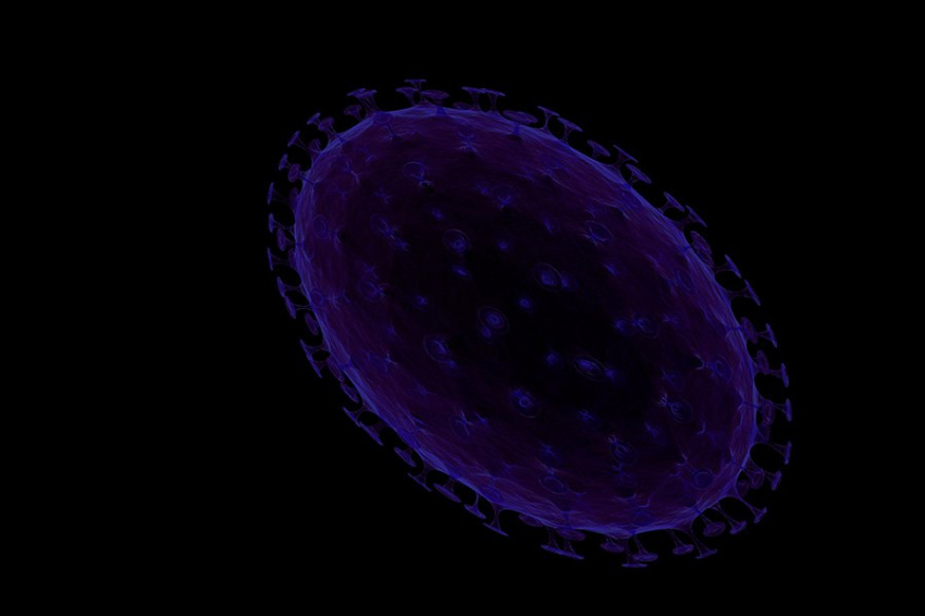 Ученые создали новые молекулы доставки лекарств для скелетных мышц