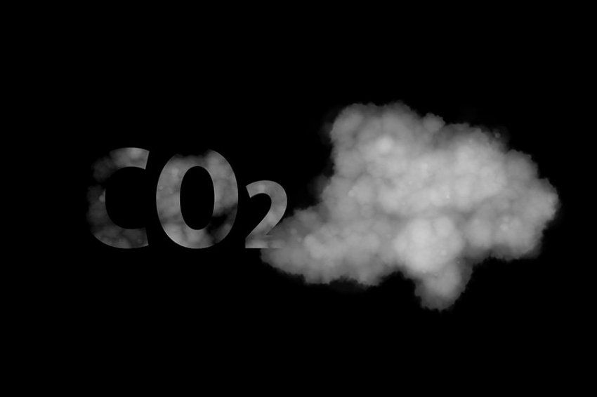 Работая на возобновляемой энергии, микробы превращают CO₂ в белок и витамины