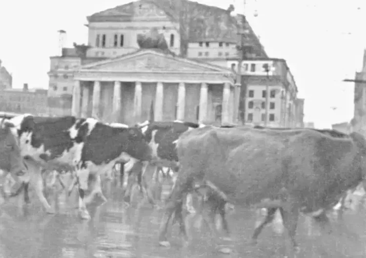 К вопросу вопиющей бедности русского крестьянина Нечерноземья