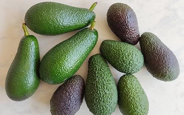 Авокадо каждый день: стоит ли есть детокс- и ЗОЖ-продукт ежедневно