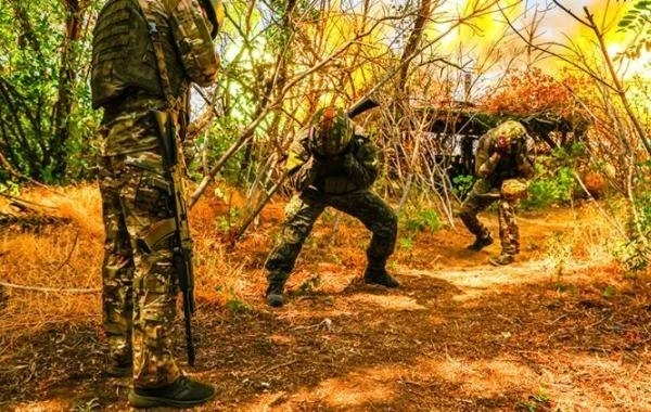 Свежая сводка Юрия Подоляки на 11.09.2025: бойцы ВС России продолжают штурм Покровска