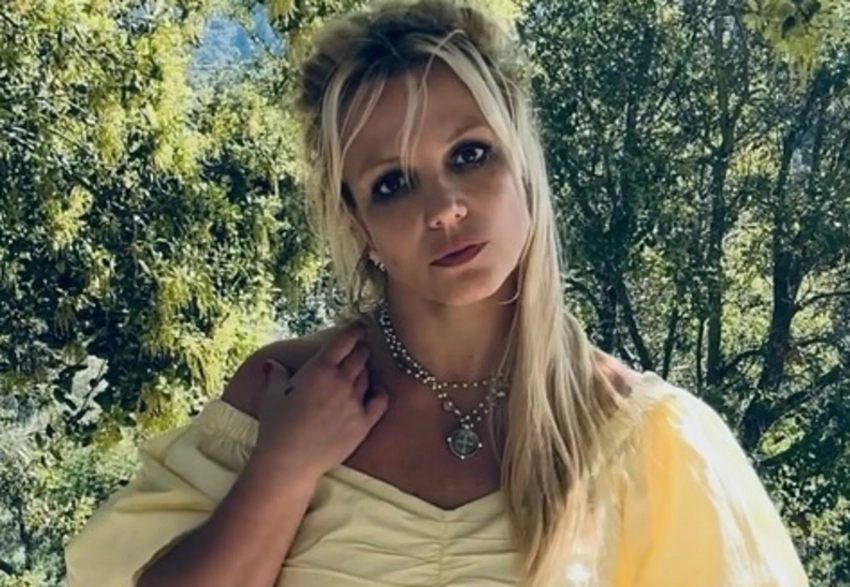 "Позор". Бритни Спирс ответила на критику антисанитарии в своём доме