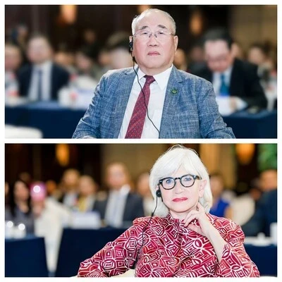 В честь 10-летия Парижского соглашения в Баотине представлена «Инициатива сотрудничества Китая и ЕС по созданию уездов с нулевыми выбросами углерода»