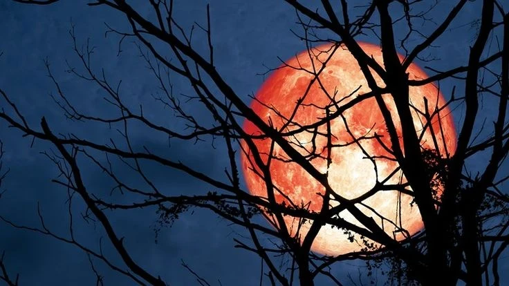 Луна Охотника: чего ждать знакам зодиака в самое мощное суперлуние 2025 года