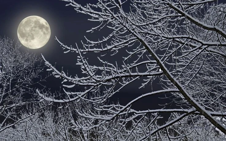 Когда в декабре 2025 года сделать денежную стрижку: лунный календарь для записи к мастеру