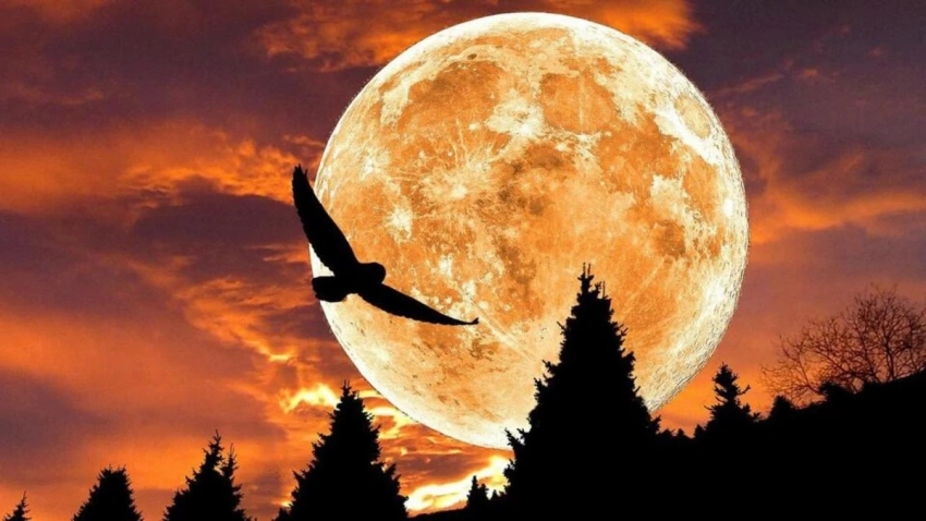 Суперлуние в Тельце, или Охотничья Луна: как 5 ноября 2025 года повлияет на знаки зодиака