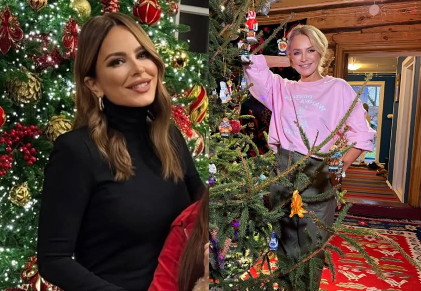 Виктория Бекхэм и Виктория Лопырёва предпочли "классику", а Рената Литвинова и Виктория Шелягова "ностальгируют" по СССР. Как звёзды украшают свои ёлки