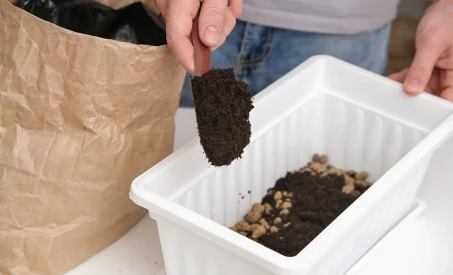 С него начинается хороший урожай: как подготовить правильный грунт для рассады