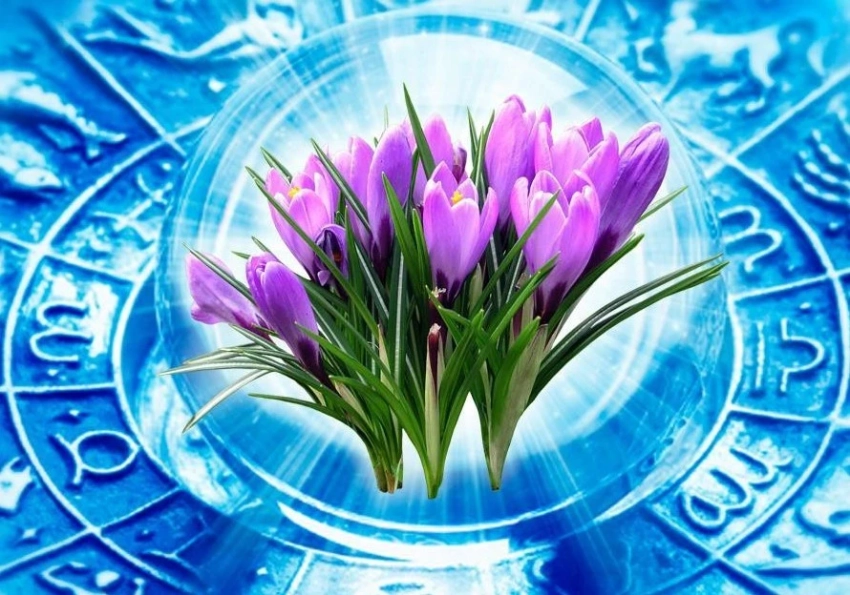 Фундамент для счастливого сезона: как подготовиться к встрече весны 2026 года по знаку зодиака