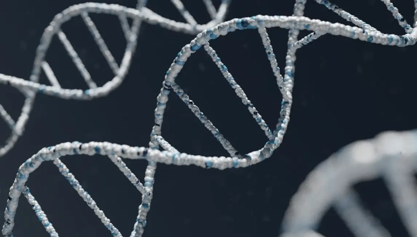 Госдума приняла закон об обязательной геномной регистрации силовиков