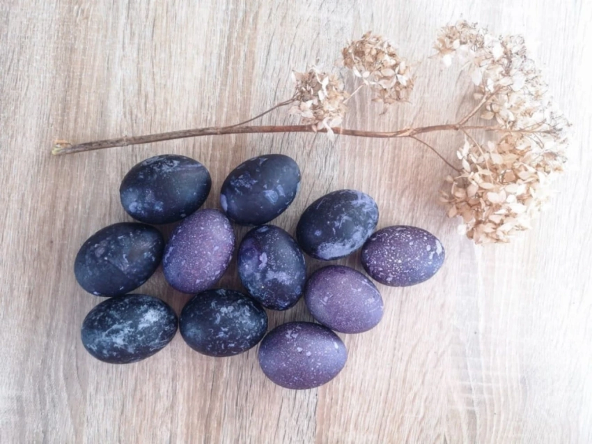 Как покрасить яйца к Пасхе в фиолетовый цвет: 3 натуральных способа