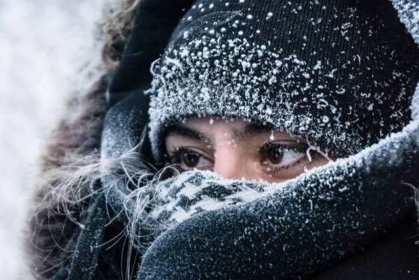 Во всем мире 28 января 2025 года День защиты персональных данных, в народе отмечают Павлов день