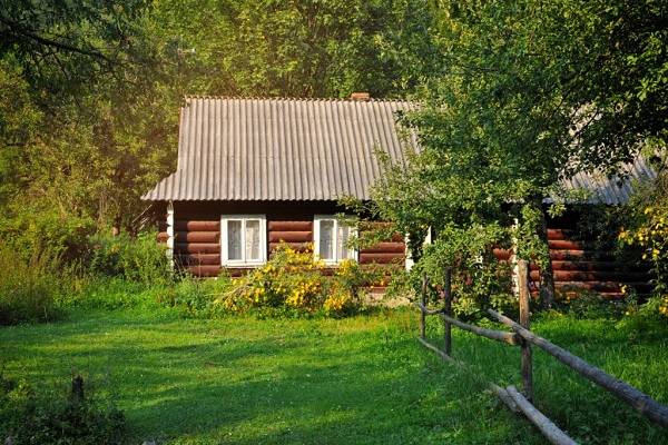Как помочь деревьям, пострадавшим от мороза: советы и рекомендации