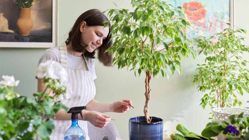 Прощай, стресс: Как задать себе 3 ключевых вопроса для обретения контроля над жизнью